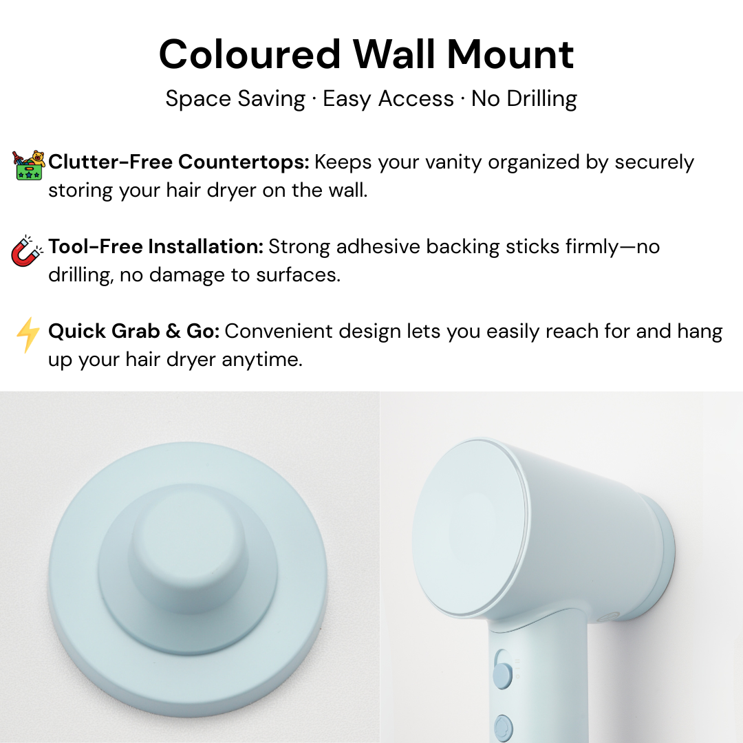 Laifen SE High Speed Hair Dryer + Free Nozzle & Wall Mount