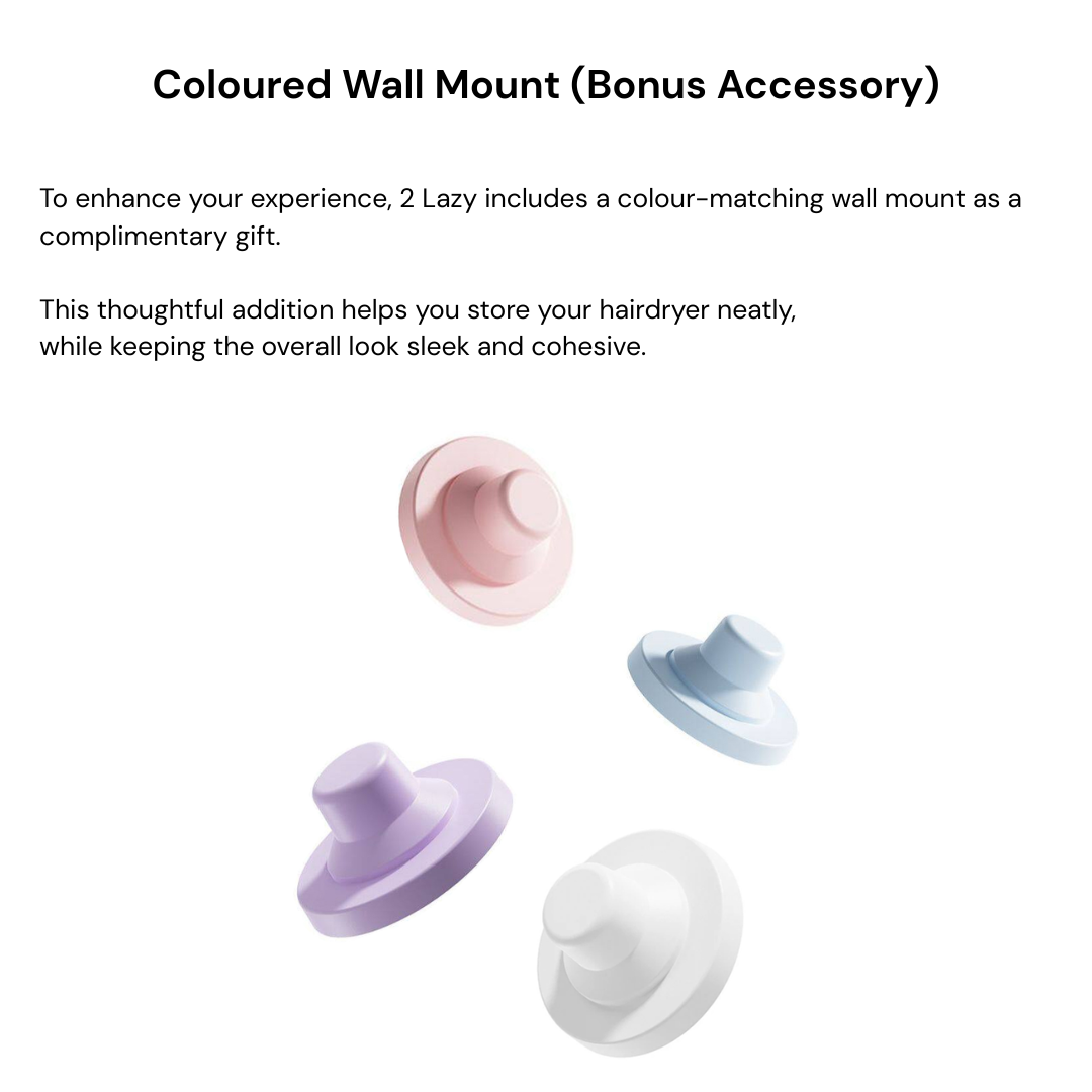 Laifen SE High Speed Hair Dryer + Free Nozzle & Wall Mount